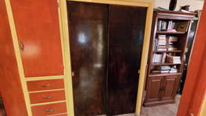 Hallway with hardwood / wood-style doors