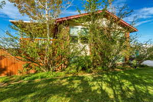 Lots of trees provide privacy and shade on south side of home