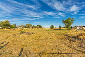 2.98 acres of flat land with 1.5 water shares