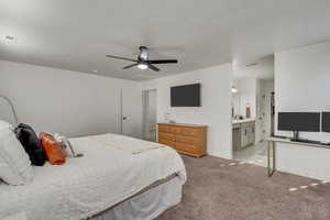 Carpeted bedroom with ceiling fan and ensuite bathroom