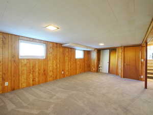 Basment Living room