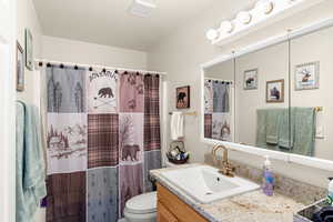 Bathroom featuring  shower, vanity, and toilet