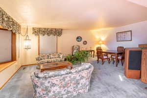 Living room with carpet and a textured ceiling