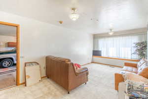 Carpeted living room with a textured ceiling