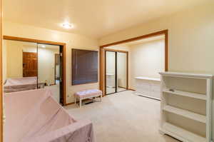 Bedroom featuring light colored carpet