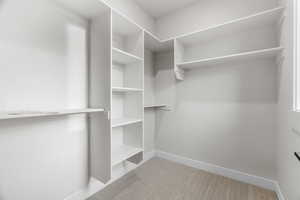 Spacious closet featuring light carpet