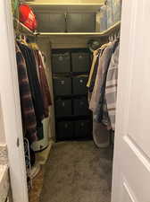 Walk in closet featuring carpet