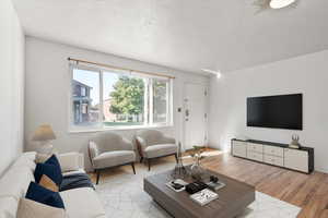 Living room: light hardwood / wood floors