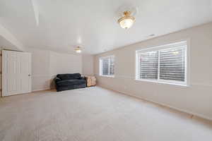 Basement living room.