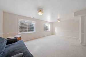 Basement living room.