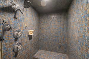 Bathroom with tiled shower