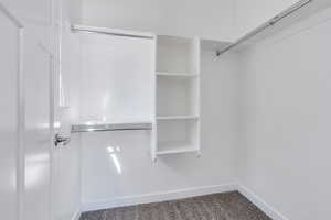 Spacious closet featuring carpet floors