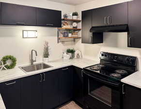 Kitchen featuring black / electric stove and sink