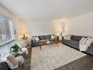 Living room featuring dark wood-type flooring