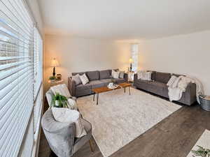 Living room featuring dark hardwood / wood-style floors