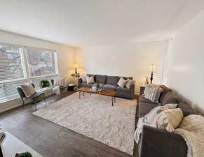 Living room featuring dark hardwood / wood-style flooring