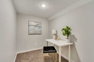 Office area featuring a textured ceiling, vaulted ceiling, and carpet