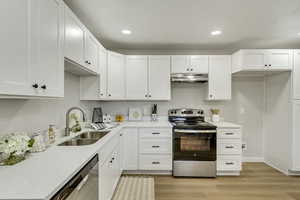 Kitchen with light stone countertops, stainless steel appliances, sink, light hardwood / wood-style floors, and white cabinetry