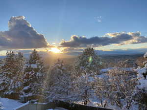 Back Patio View