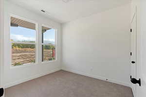 Carpeted spare room with plenty of natural light