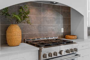 Details with white cabinetry, backsplash, and stainless steel range with gas stovetop