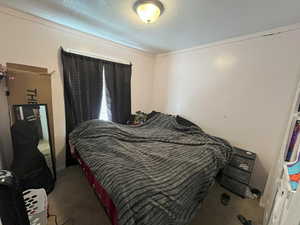 Carpeted bedroom with a textured ceiling