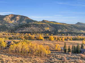 Photo 8 of 10125  CHEROKEE PASS