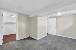 Unit 1415 Large Basement Bedroom (#3) with walk-in closet