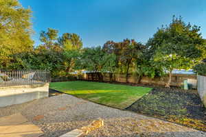 Large Back Yard with Trees