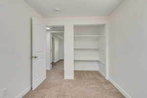 Bedroom 3 Closet - basement