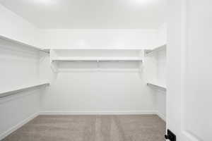 Spacious closet with light colored carpet