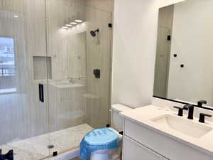 Bathroom featuring an enclosed shower, vanity, and toilet