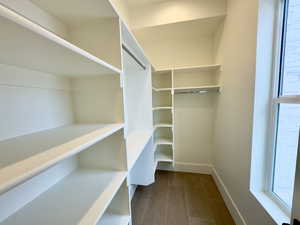 Spacious closet featuring dark hardwood / wood-style flooring