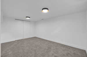 Unfurnished room featuring carpet floors