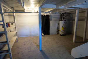 Basement with gas water heater and carpet