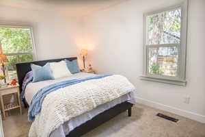 Bedroom featuring multiple windows and carpet