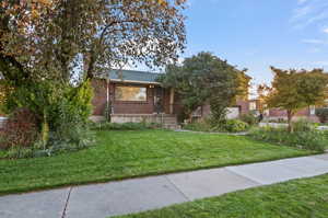 View of front of property featuring a front yard