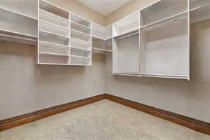 Spacious closet featuring carpet