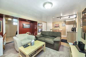 Living room featuring rail lighting, light colored carpet