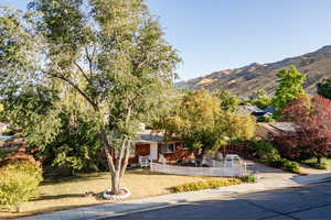 Mountain views and wonderful trees