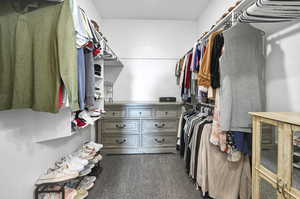 Spacious closet with dark carpet