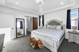 Bedroom featuring a barn door, a raised ceiling, and multiple windows