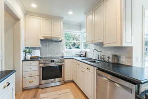 Kitchen with light hardwood / wood-style floors, stainless steel appliances, sink, and decorative backsplash