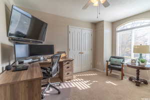 Office space with carpet flooring, a ceiling fan, and baseboards