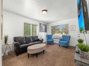 Carpeted living room featuring a textured ceiling