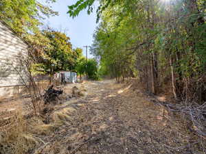 View of yard featuring a storage shed