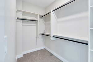 Spacious closet with light carpet