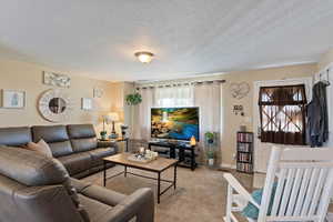 Carpeted living room featuring a textured ceiling