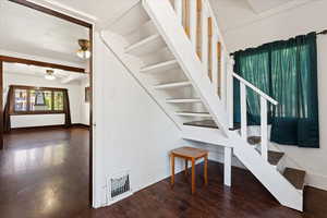 Stairs with hardwood / wood-style flooring