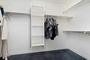 Spacious closet with carpet floors